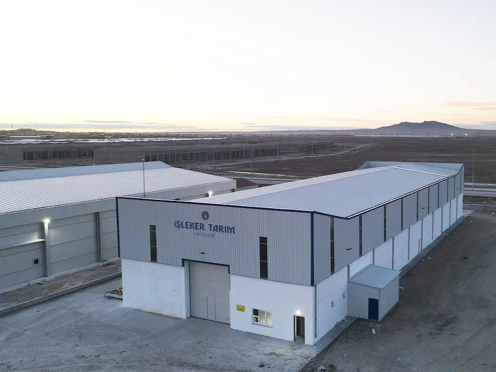 İŞLEKER TARIM TOHUM ELEME TESİSİ